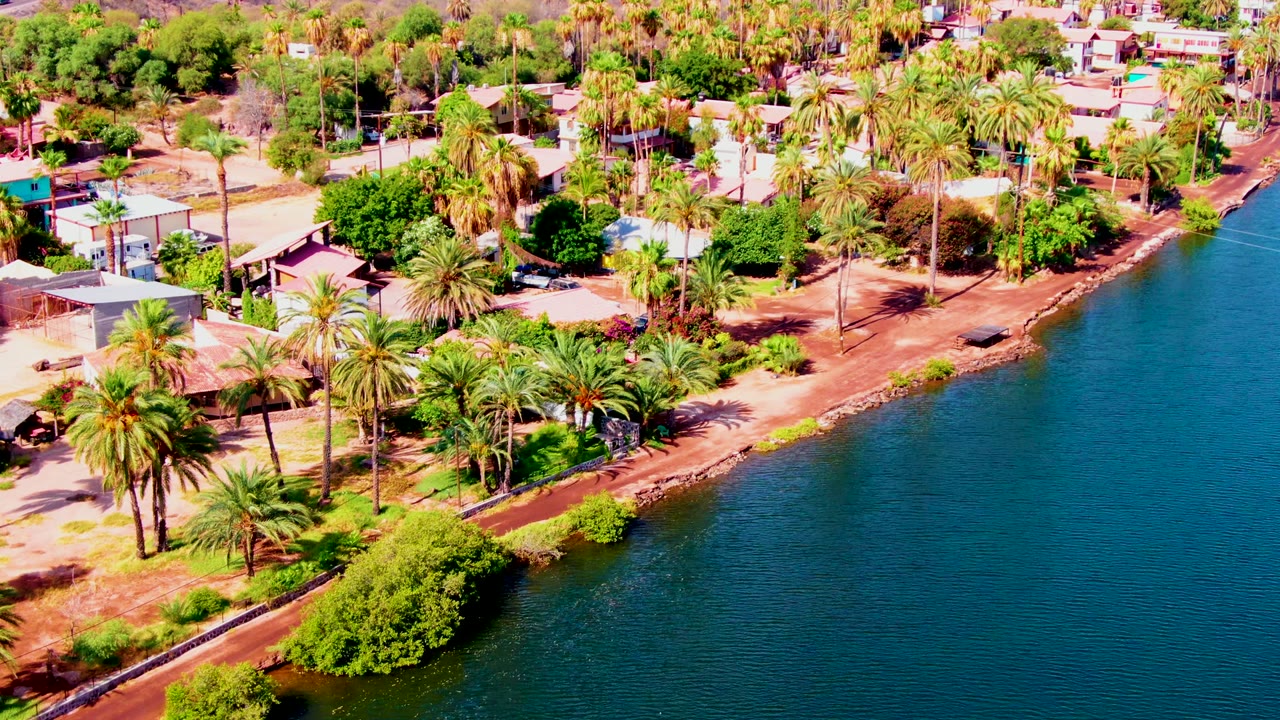Drone view over coastal houses, palms, road, and calm water.
