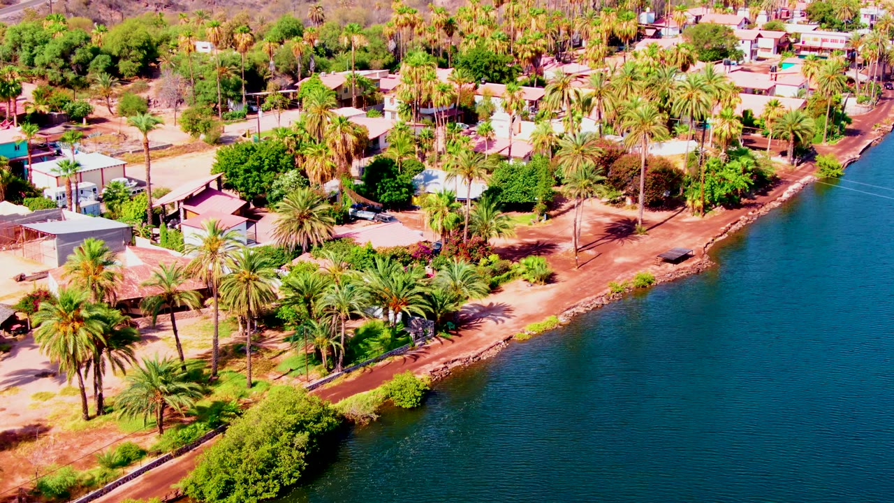 Drone-angle view in Mulege with the shoreline bending across the frame, houses set among palms, and open blue water occupying the right half, with no visible people.