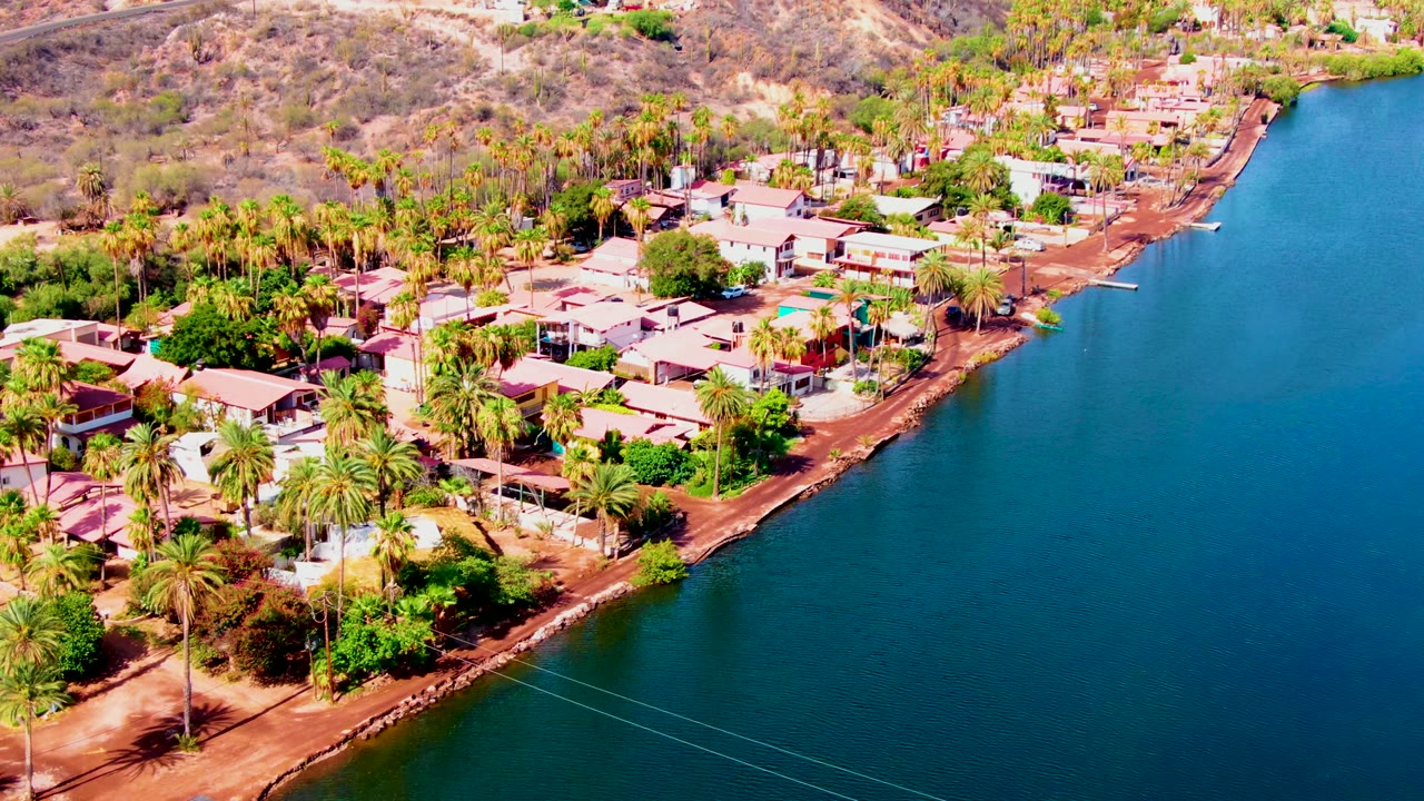 Waterfront residential area with palms, roofs, shoreline, and blue water.