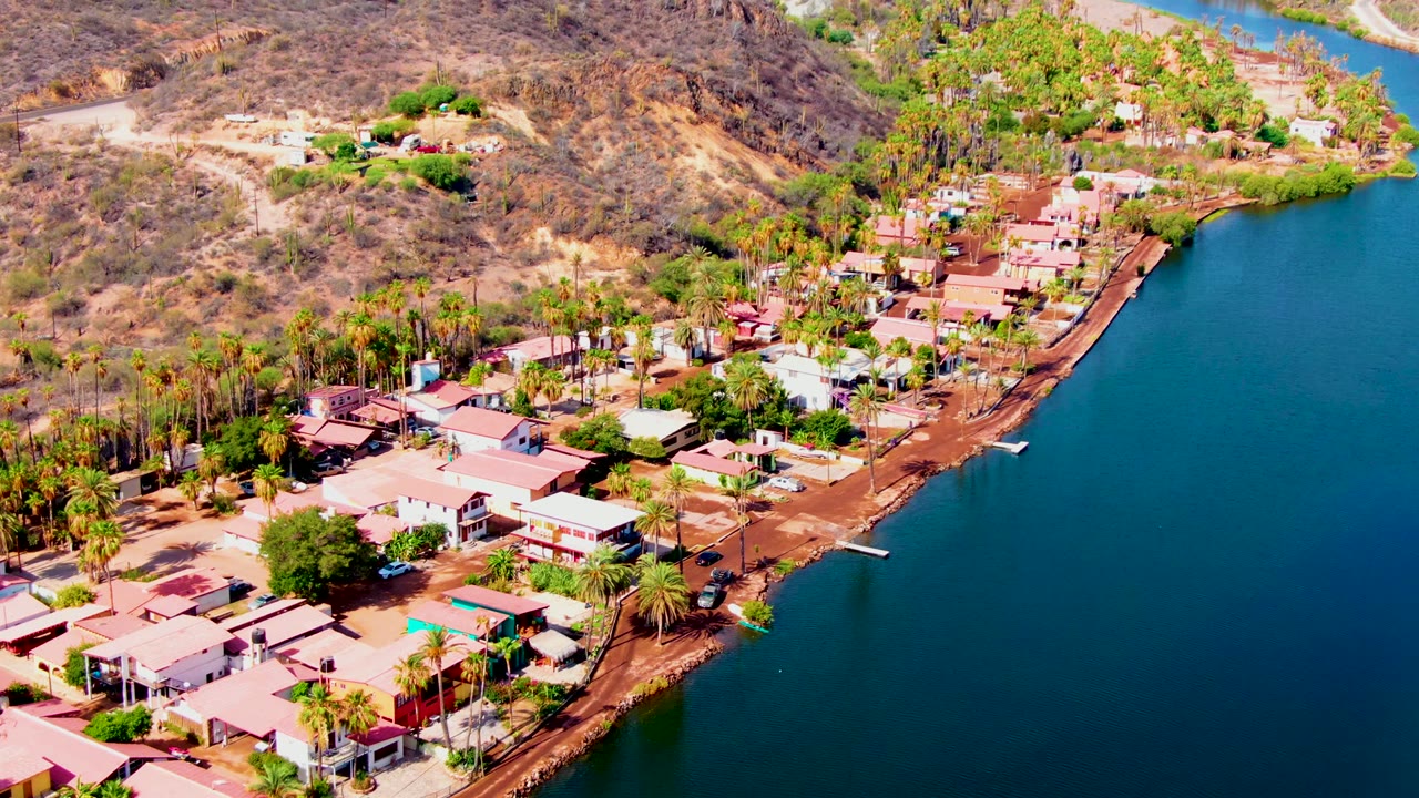 Drone view along a palm-lined shoreline with homes and hills.