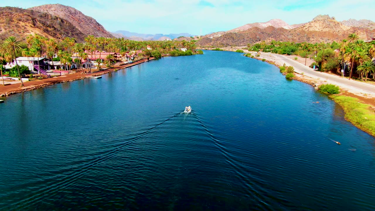 Boat wake spreading across calm canal water near a palm-lined bank