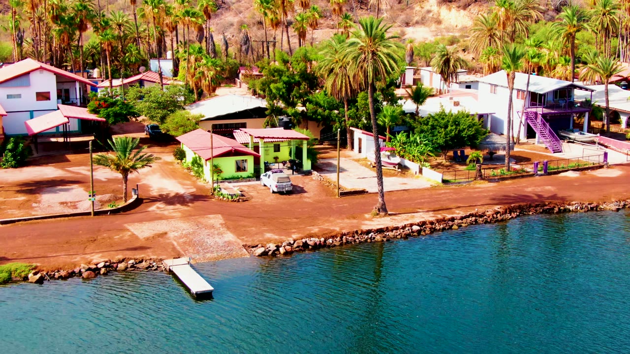 Elevated view of a dock below colorful homes and palm trees along a waterfront road.