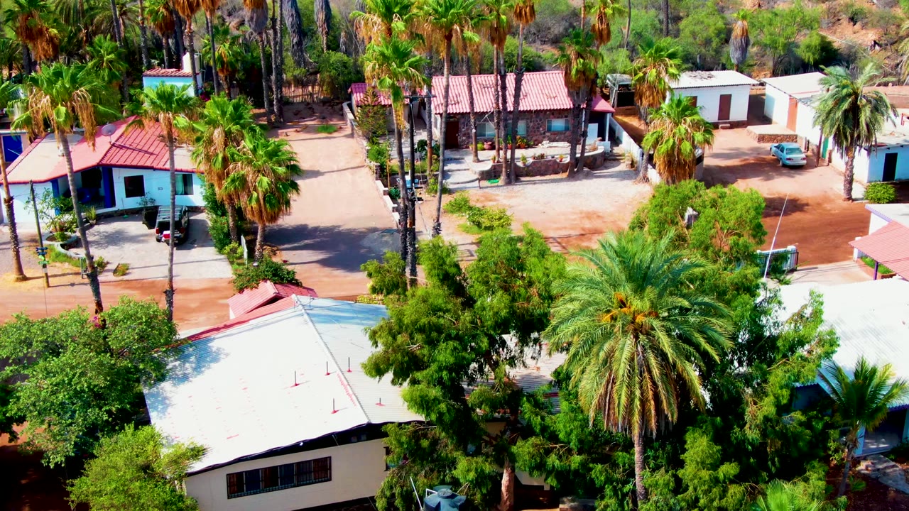 Drone view over homes, palms, a dirt road, and cars in a residential area.