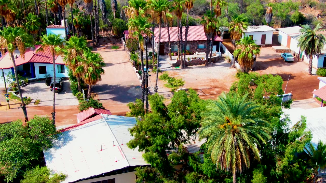 Third frame of the Mulege aerial view with a blue house at the left edge, a white building and blue car toward the upper right, dense palms, reddish dirt ground, and no visible people.