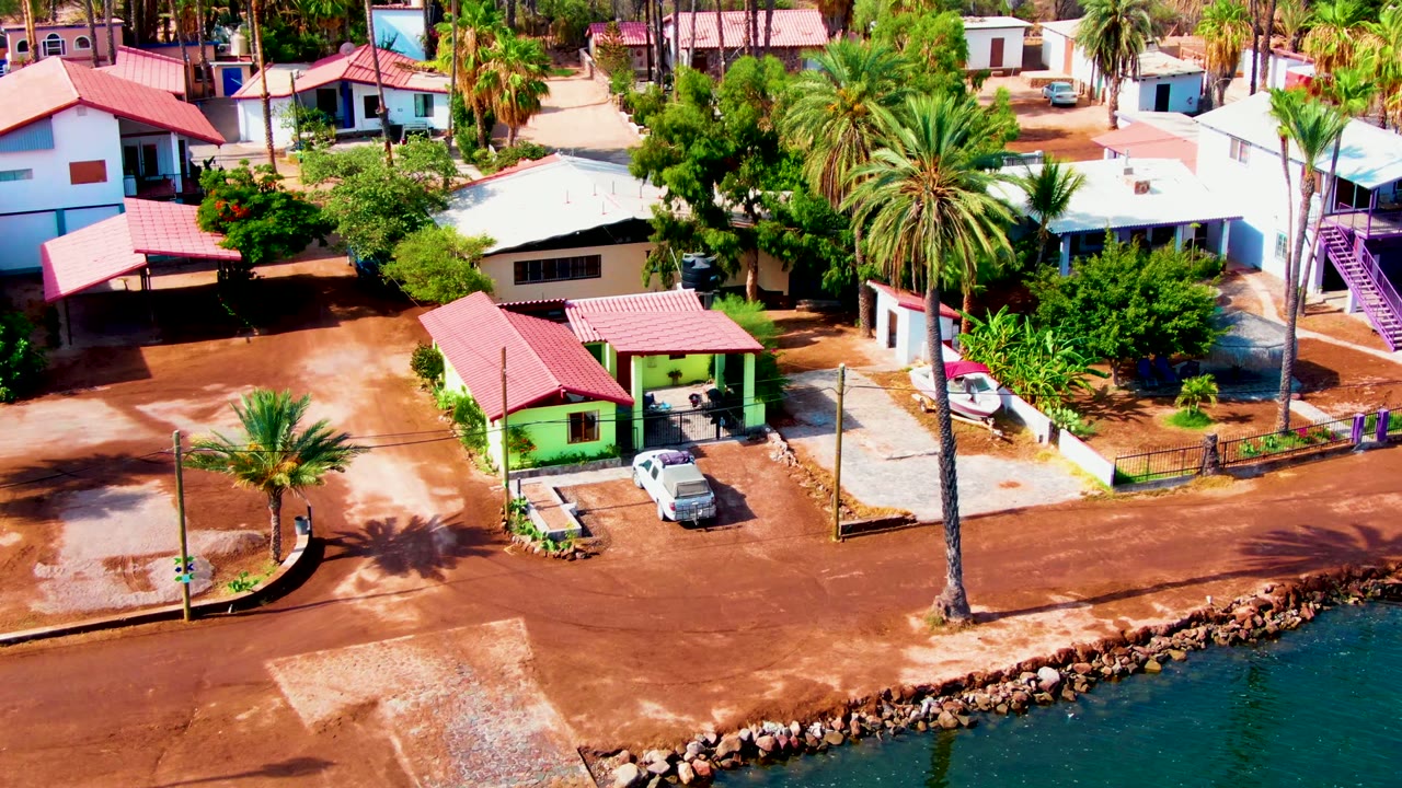 Drone view over red-roofed houses, a green house, palms, parked cars, and shoreline water.