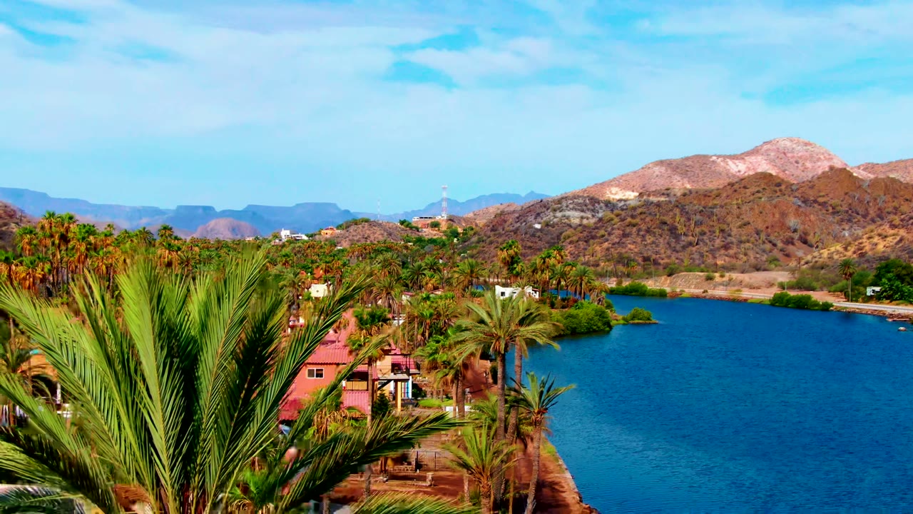 Wide Mulege, Baja California Sur view with palm fronds entering from the left, blue water across the center, red-roof buildings near the shore, desert mountains in back, and no visible people.