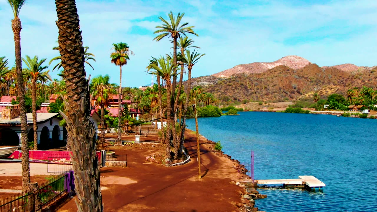 Palm trunks and arched lakeside building beside calm water and hills.