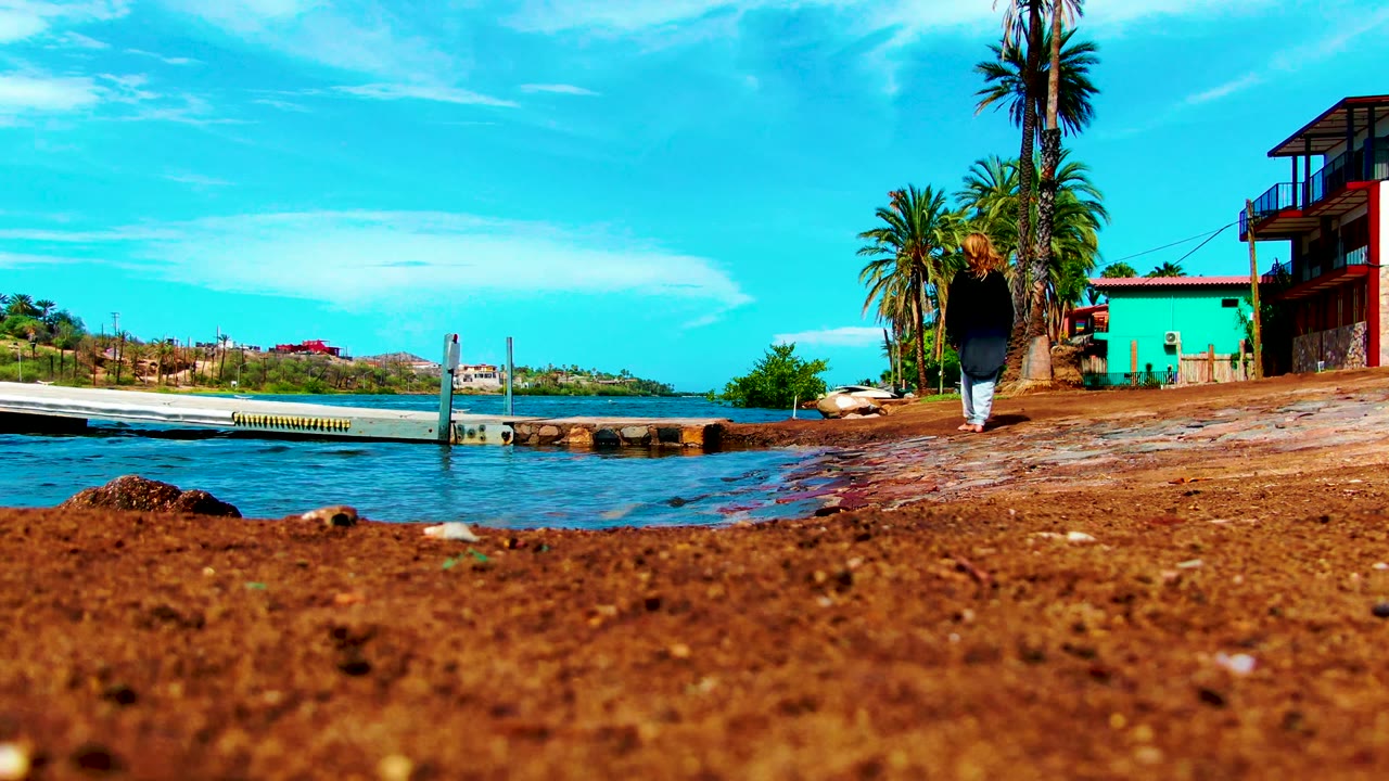 Person walking along the dirt shoreline beside calm water and palm trees.