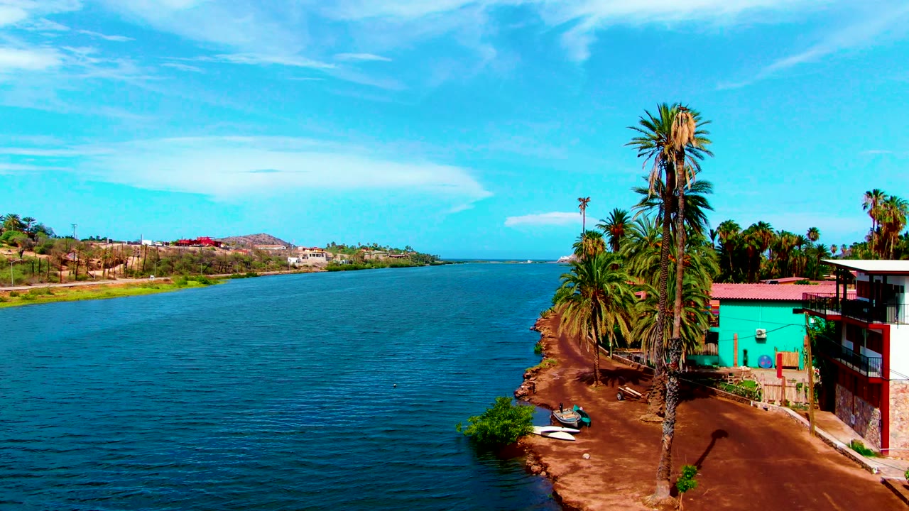 Rippled river beside a sandy palm-lined bank and colorful buildings.