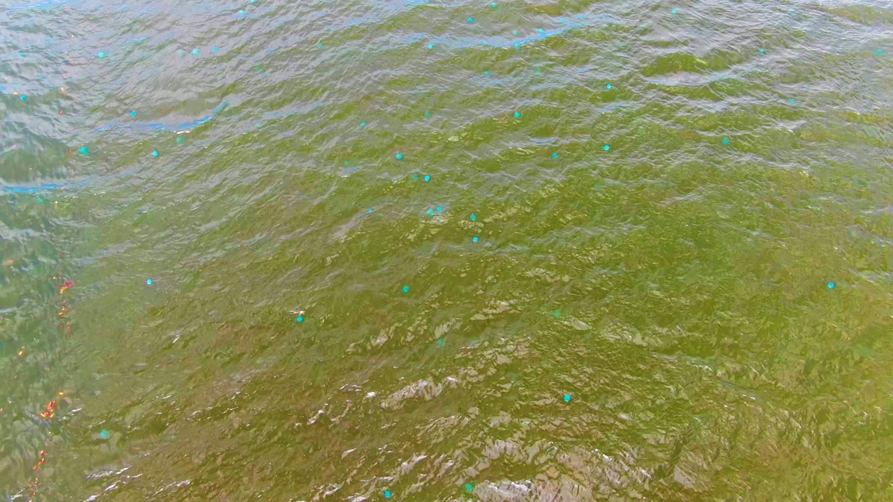Overhead view of shallow greenish-brown ocean water in Mulege, Baja California Sur, with scattered blue floating particles, faint red debris, ripples, and no visible people.