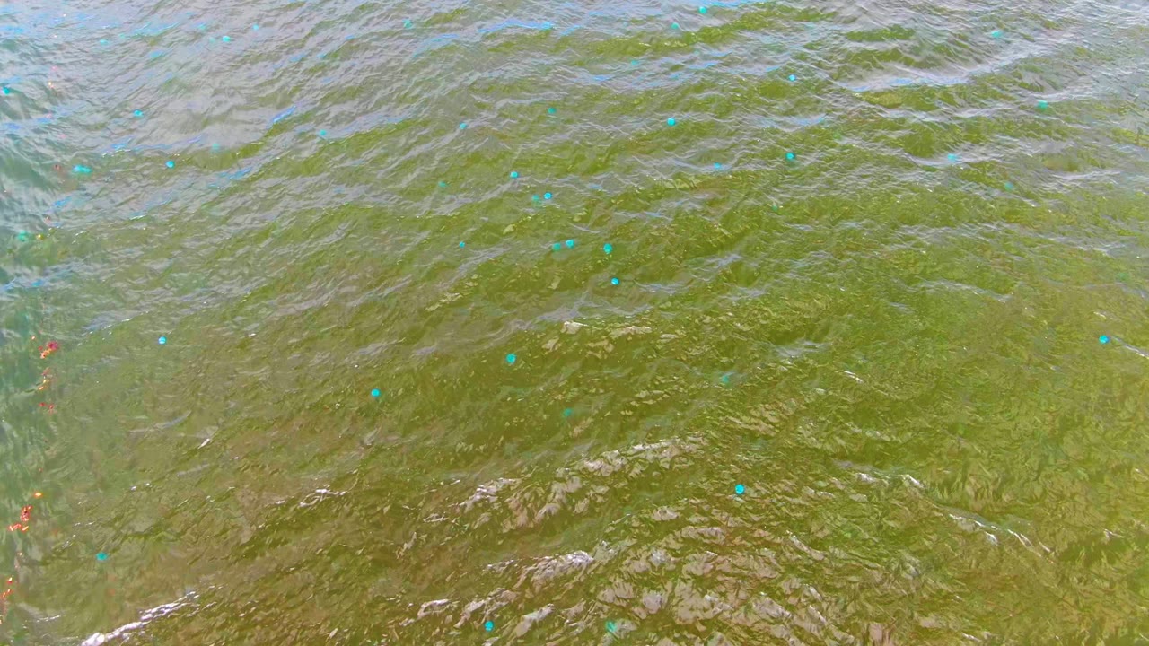 Rippling shallow water with visible bottom texture and scattered blue debris.