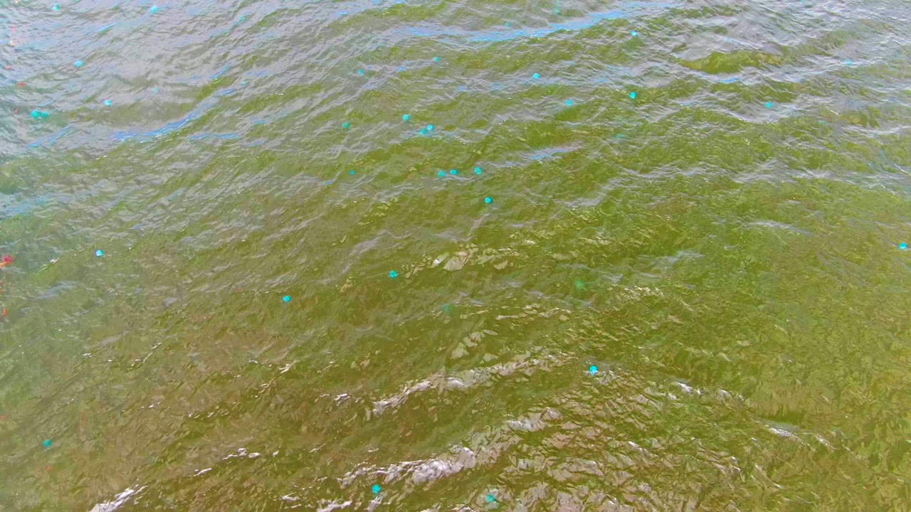 Aerial-looking view of shallow ocean water in Mulege with small surface waves, green-brown color, blue specks, faint red debris, and no visible people.