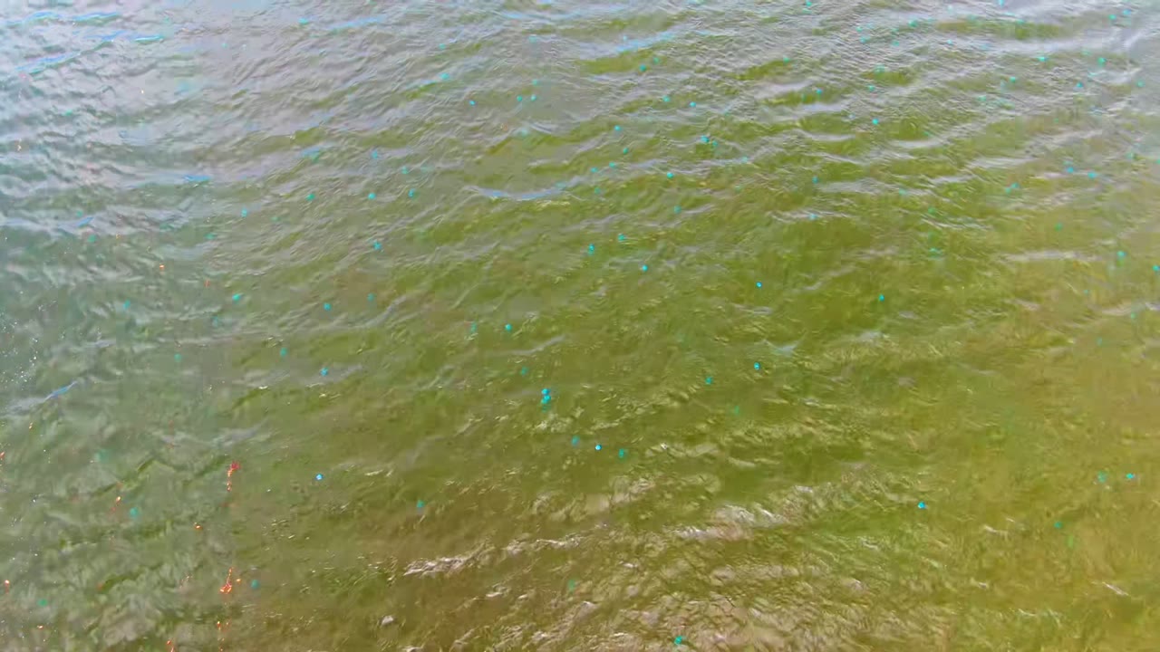 Opening frame of greenish-brown rippling water in Mulege, Baja California Sur, with scattered blue and red floating markers and no visible people.