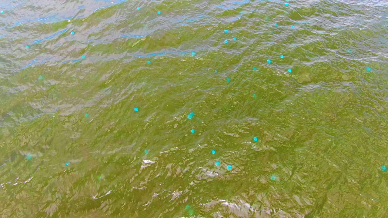 Ripples moving across green water with bright blue particles.