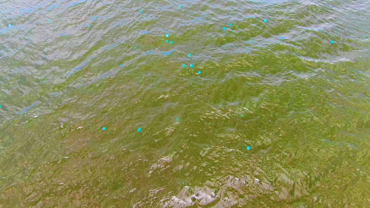 Overhead view of greenish rippling water in Mulege, Baja California Sur, with scattered blue reflections and no visible people.
