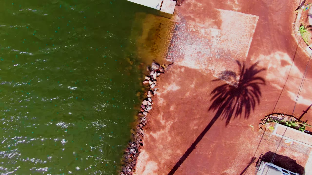 Top-down view in Mulege, Baja California Sur, Mexico, showing green water beside shoreline rocks, red pavement, pale paving, and a palm shadow crossing the walkway with no visible people.