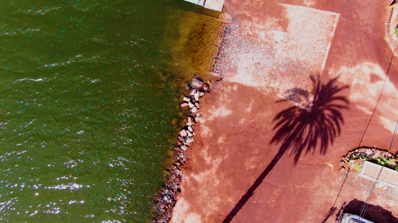 Green water laps along rocks beside red pavement and a palm shadow.