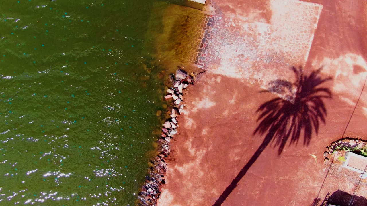 Top-down Mulege shoreline detail with rippled green water on the left, a vertical strip of rocks at the waterline, red pavement on the right, and palm shadow across the paved area with no visible people.