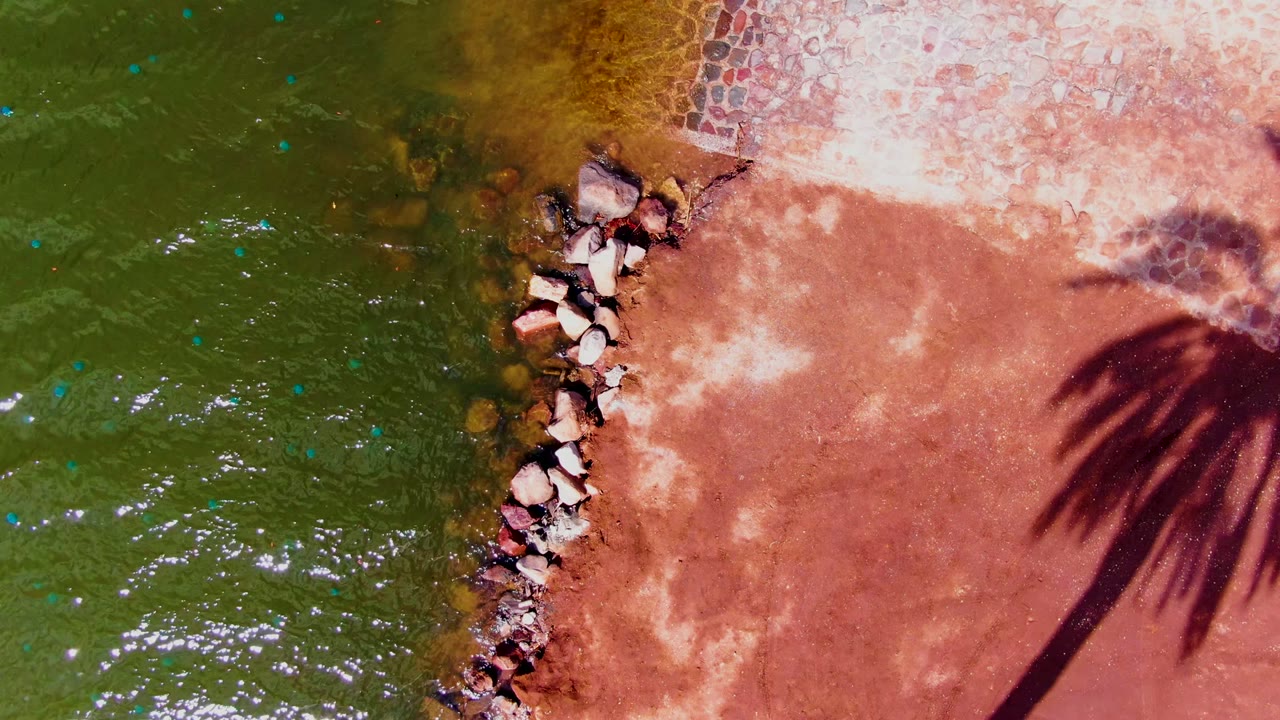 Overhead Mulege shoreline frame with green rippling water on the left, a line of pale rocks at the edge, reddish shore on the right, palm shadow crossing the ground, and no visible people.