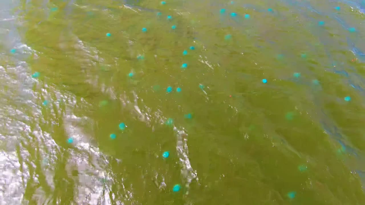 Greenish river water in Mulege, Baja California Sur fills the frame with scattered turquoise dots, bright white reflective streaks, and no visible people.