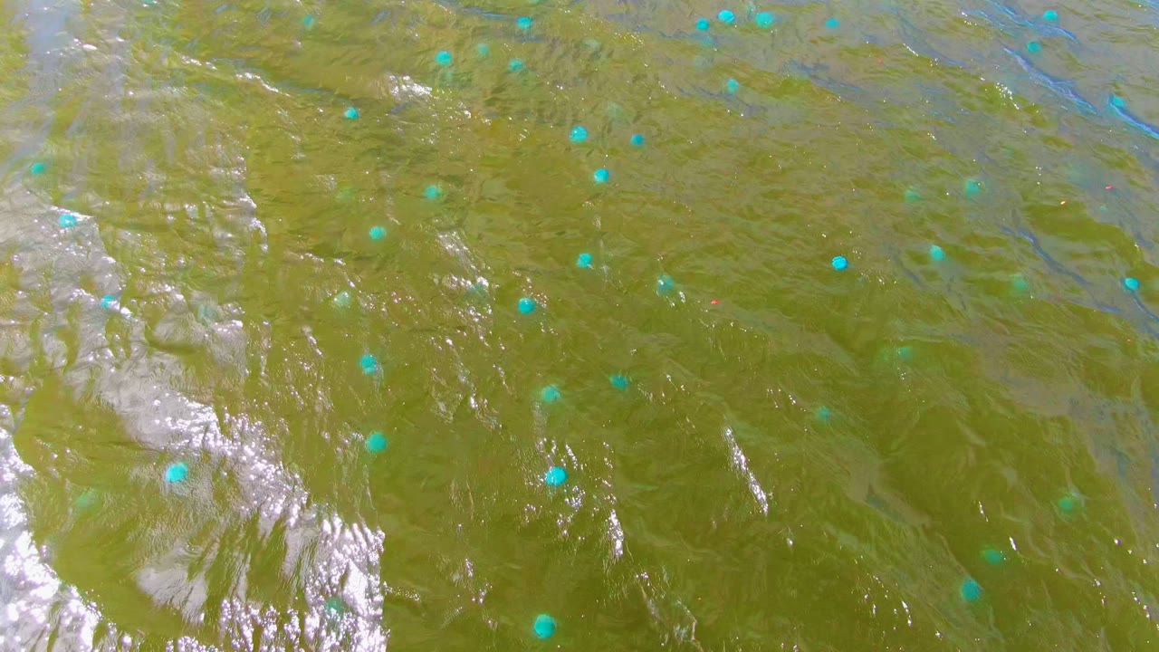 The Mulege river water appears olive green with small turquoise dots, pale frothy patches, and broken white highlights across the moving surface, with no visible people.