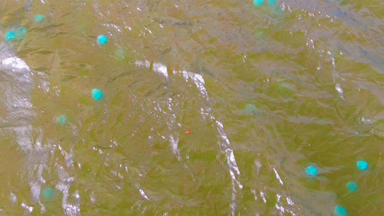 Blue buoys on rippled green water with shifting light streaks.