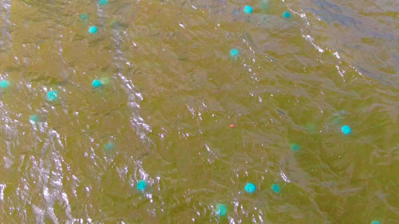 Muddy rippling water with several small blue-green buoys spread across the surface.