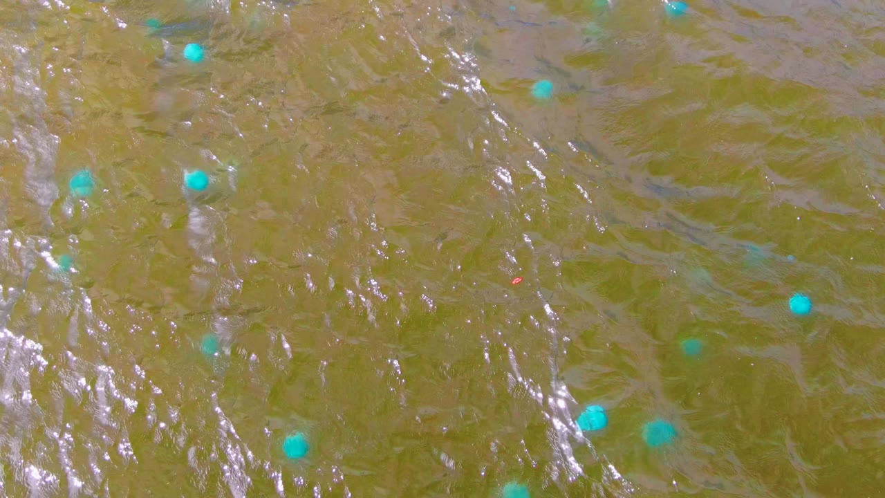 Overhead Mulege water detail with bright turquoise markers floating on yellow-brown water, diagonal silver ripple streaks, and no visible people.