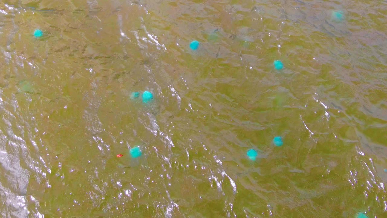 Mid-clip view of blue floating markers over reflective green-brown water in Mulege, with small waves crossing the frame and no visible people.