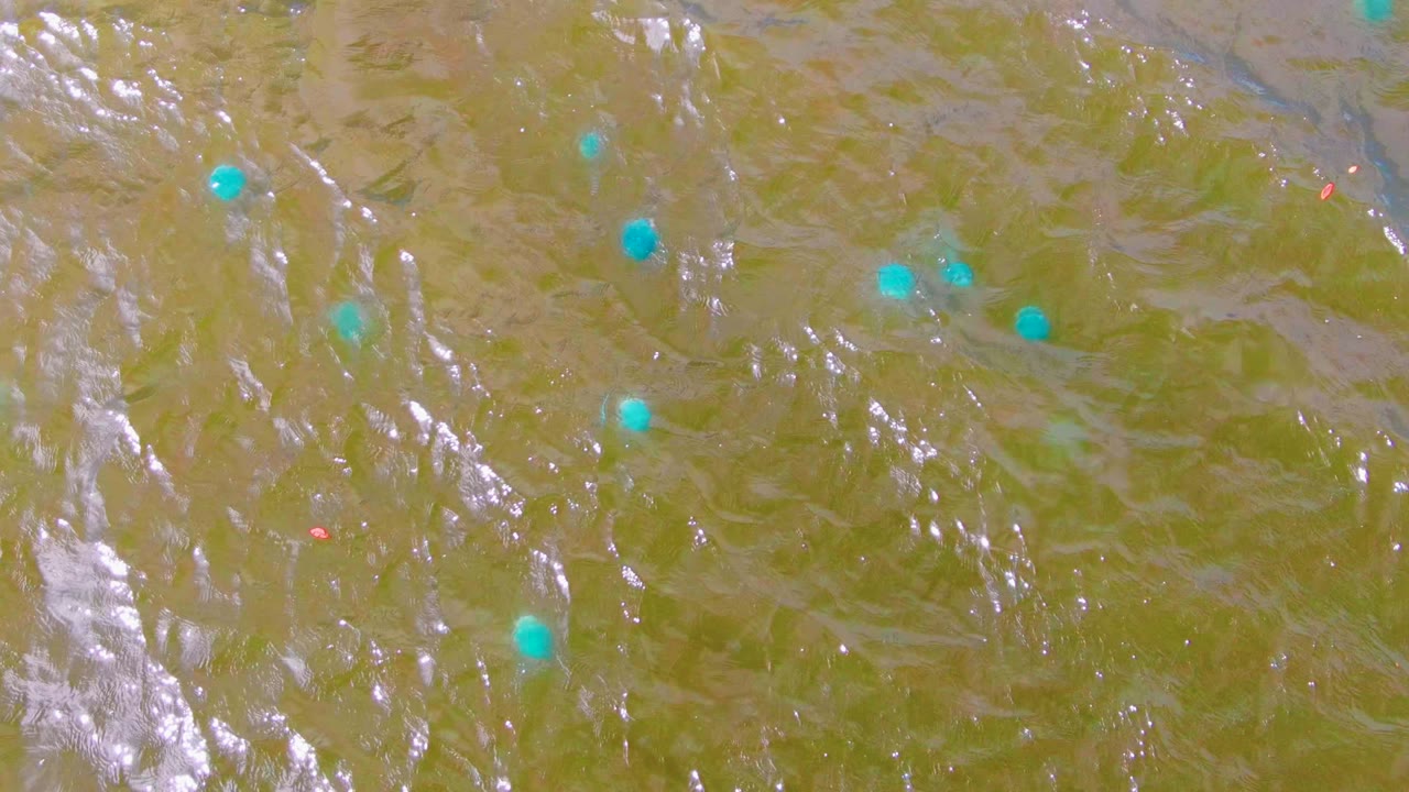 Blue buoys appear farther across the murky Mulege water surface as silver highlights run through the ripples, with no visible people.