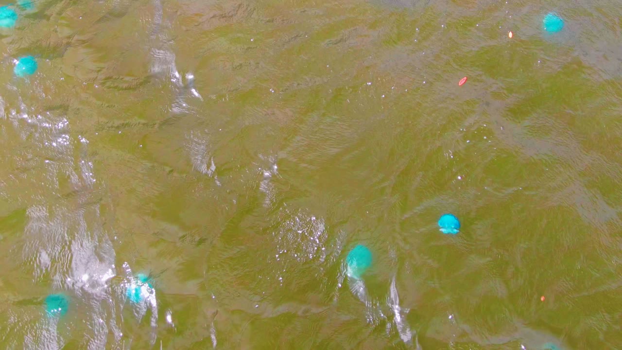 Mulege overhead frame with turquoise buoys near the upper and lower edges, reflective ripples through the center, and no visible people.