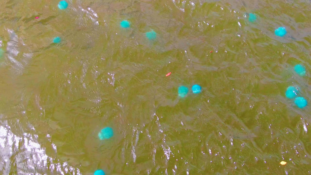 A small cluster of blue buoys appears toward the upper right of the Mulege water surface, with smoother green-brown ripples and no visible people.