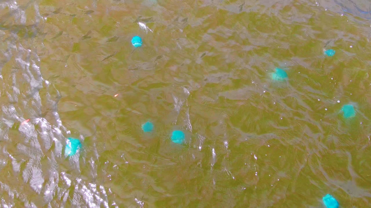 Overhead frame from Mulege showing multiple blue buoys against murky water, with silver-white sunlight reflections broken by small waves and no visible people.