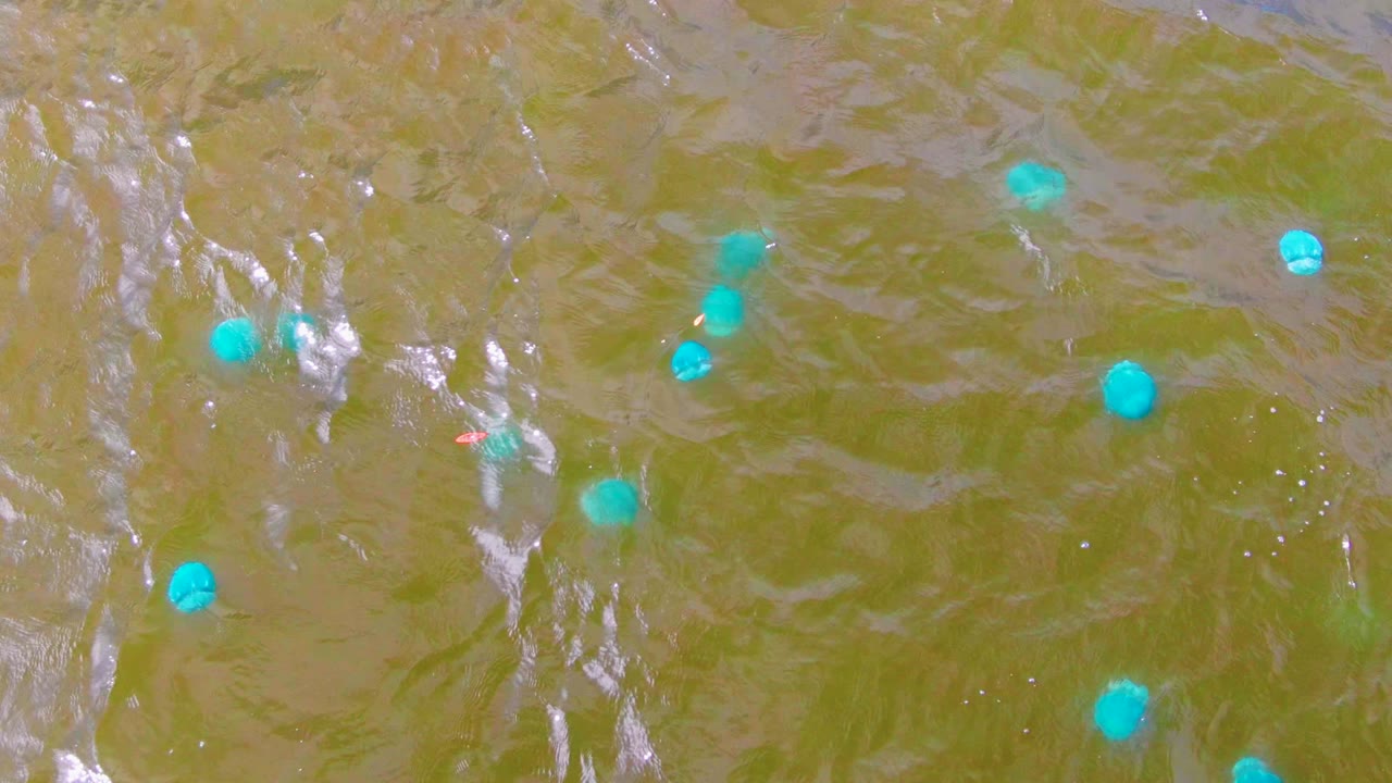 Blue floating markers on murky rippled water with bright reflections.
