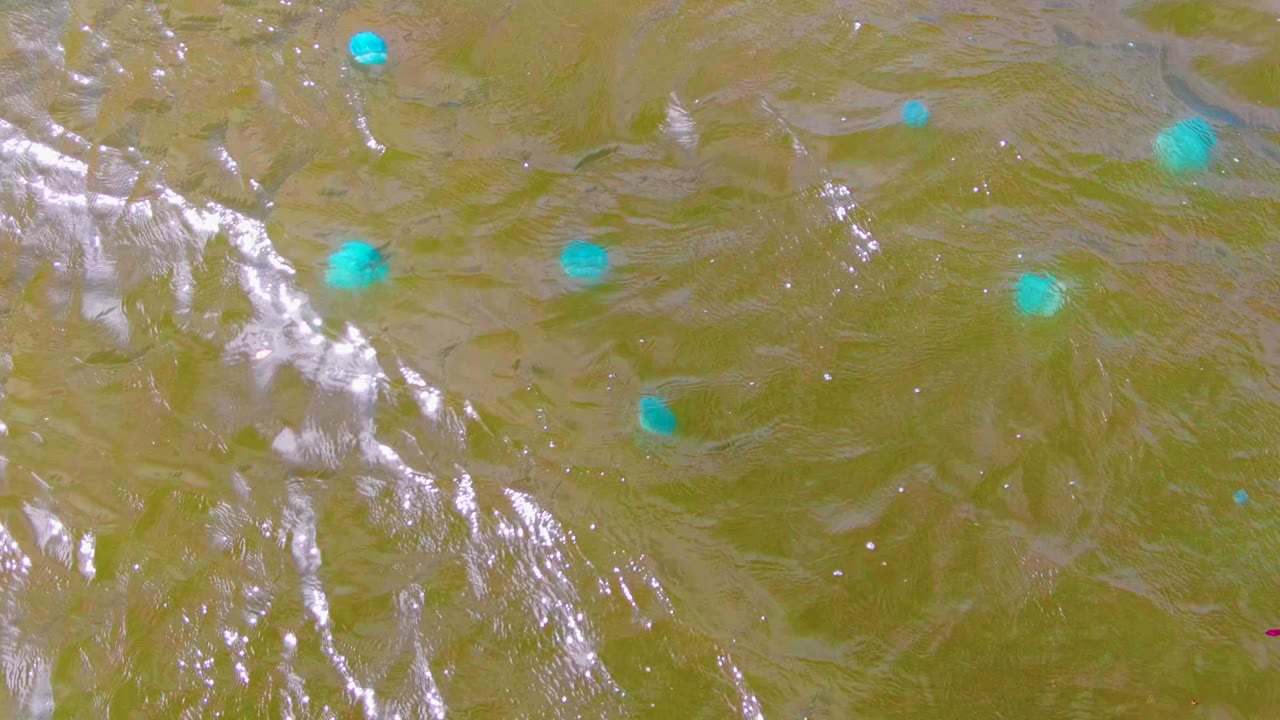 Muddy rippling water with several turquoise floating markers.