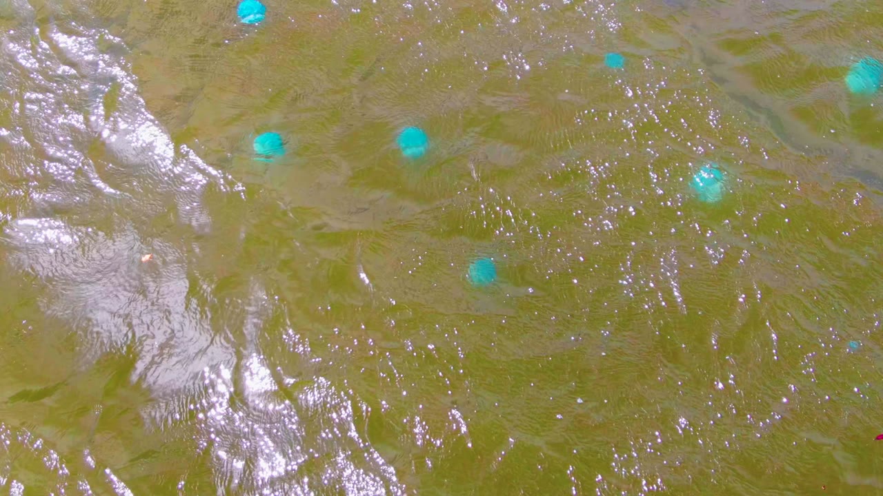 Overhead Mulege frame with turquoise buoys on muddy green water, reflective ripple streaks, a small red object near the lower edge, and no visible people.
