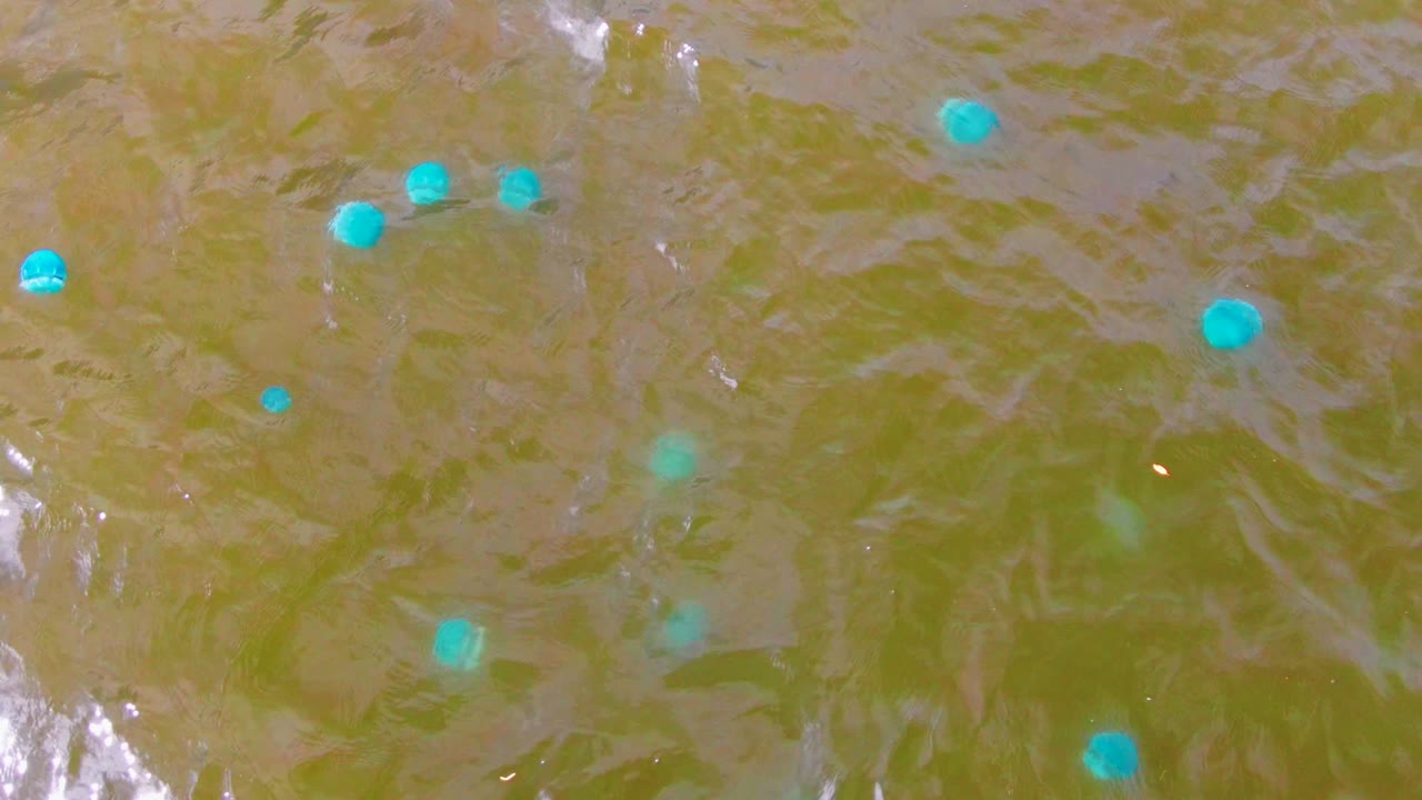 Blue floating markers on rippled murky water.