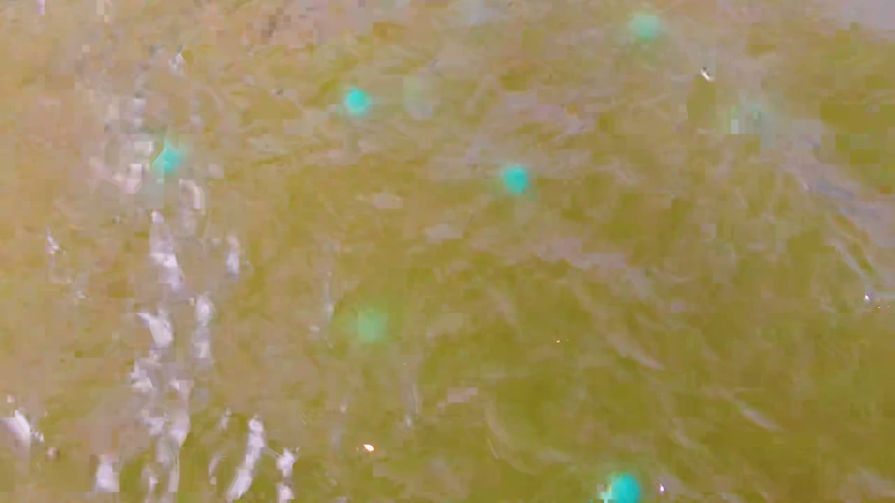 Close view of greenish-brown rippling water in Mulege, Baja California Sur, Mexico, with scattered turquoise particles near the upper portion and no visible people.