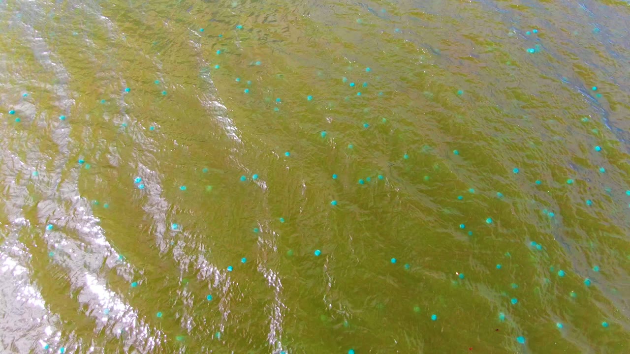 Close overhead water surface with ripples, reflections, and blue-green dots.