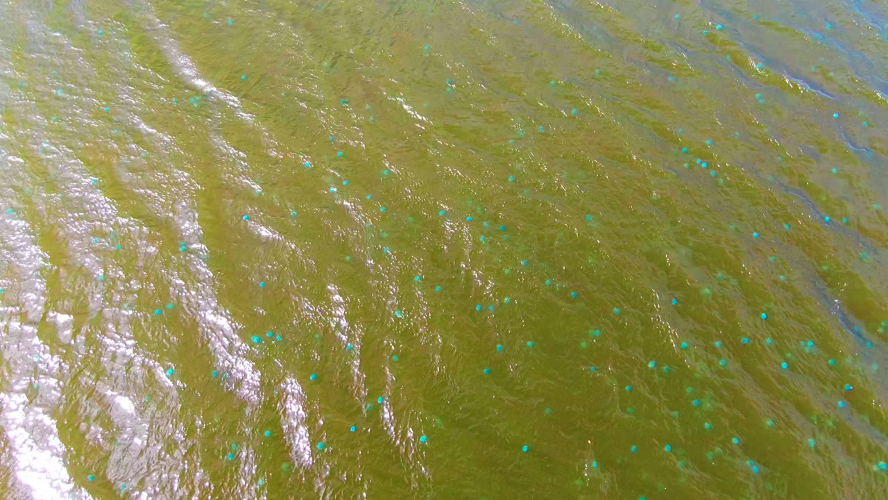Rippling greenish water crossed by white reflective streaks and blue markers.