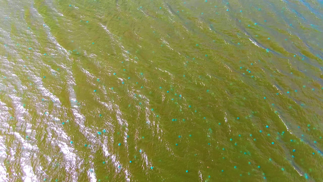 Overhead water view in Mulege, Baja California Sur, with blue marker dots across green-brown ripples and bright white reflection patches near the center, no visible people.