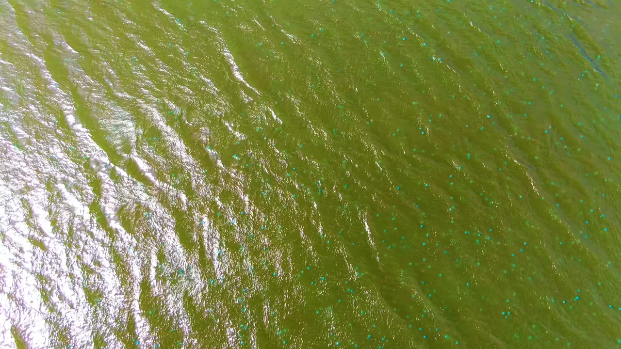Overhead view of green rippled water in Mulege, Baja California Sur, with bright surface reflections and no visible people.