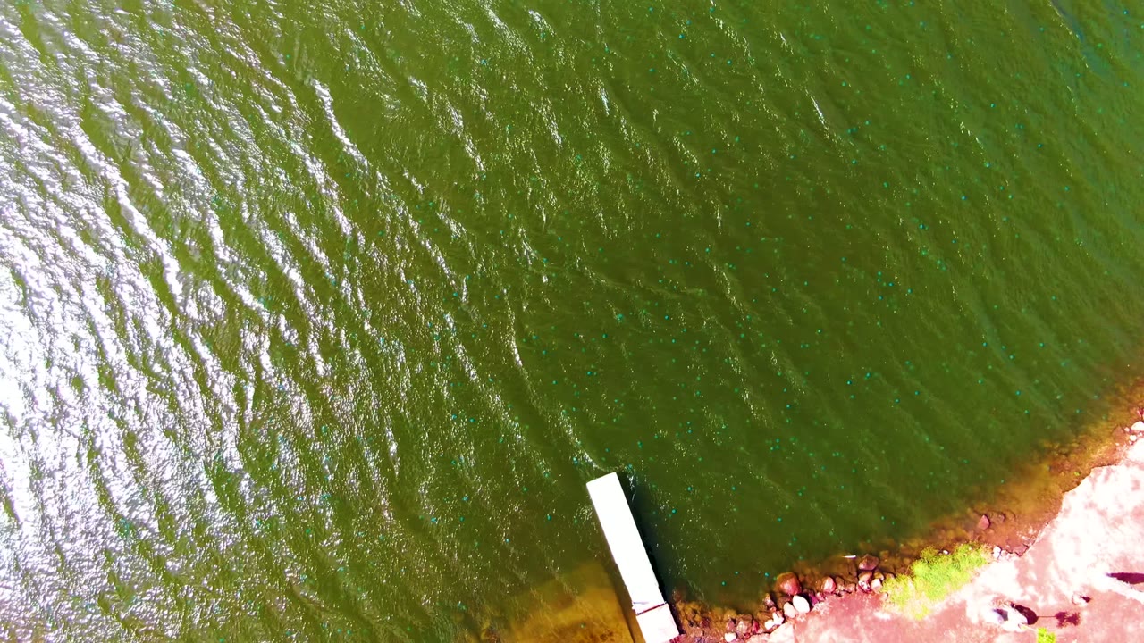 Overhead view in Mulege, Baja California Sur, Mexico, with green rippling river water filling the frame, a red-brown shoreline at lower right, a narrow white dock, and no visible people.