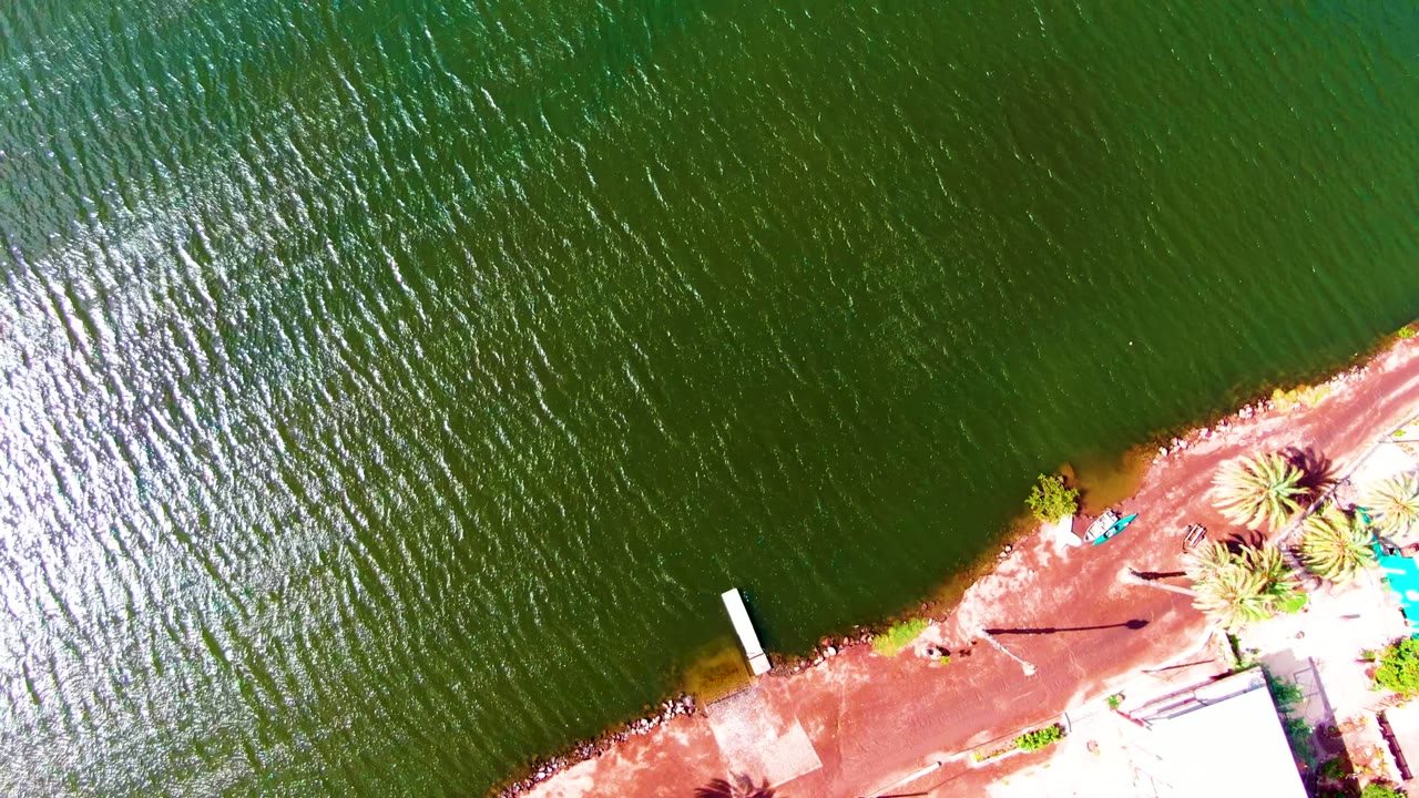 Overhead frame from Mulege, Baja California Sur, showing green rippling water, a red shore edge, palm trees, a small dock-like structure, bright buildings, parked vehicles, and no visible people.