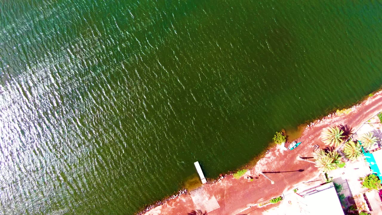 Aerial water surface with a palm-lined shore and bright structures near parked cars.