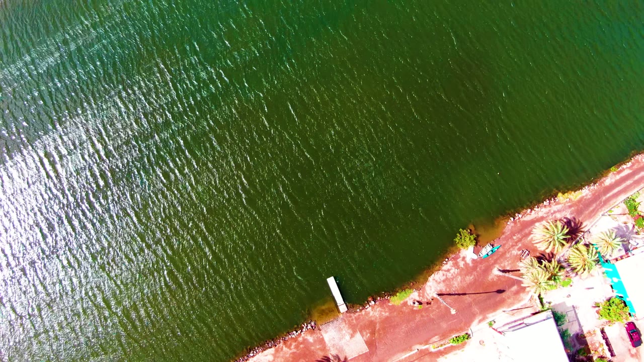 High overhead frame in Mulege with textured green water, a diagonal red shoreline, palm clusters, a light-colored structure, a turquoise patch near the shore, parked vehicles, and no visible people.