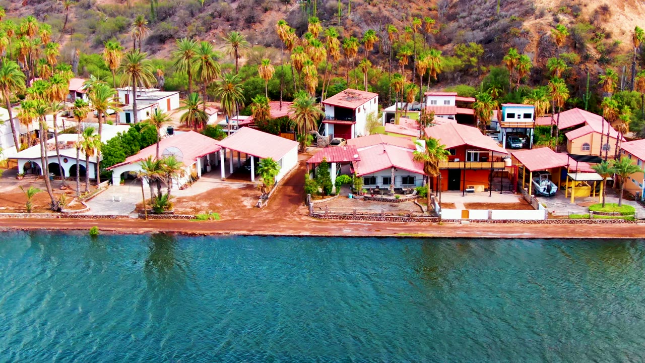 Drone view of coastal houses, palms, sandy shore, and rippling water.