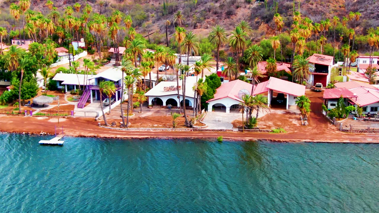 Coastal homes and palm trees above rippling blue water with hills in back.