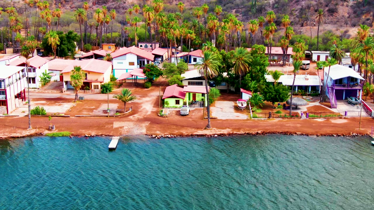 Aerial frame of the Mulege waterfront showing a palm-lined residential strip, blue-green water, a short dock, white and tan houses, dry hillside, and no visible people.