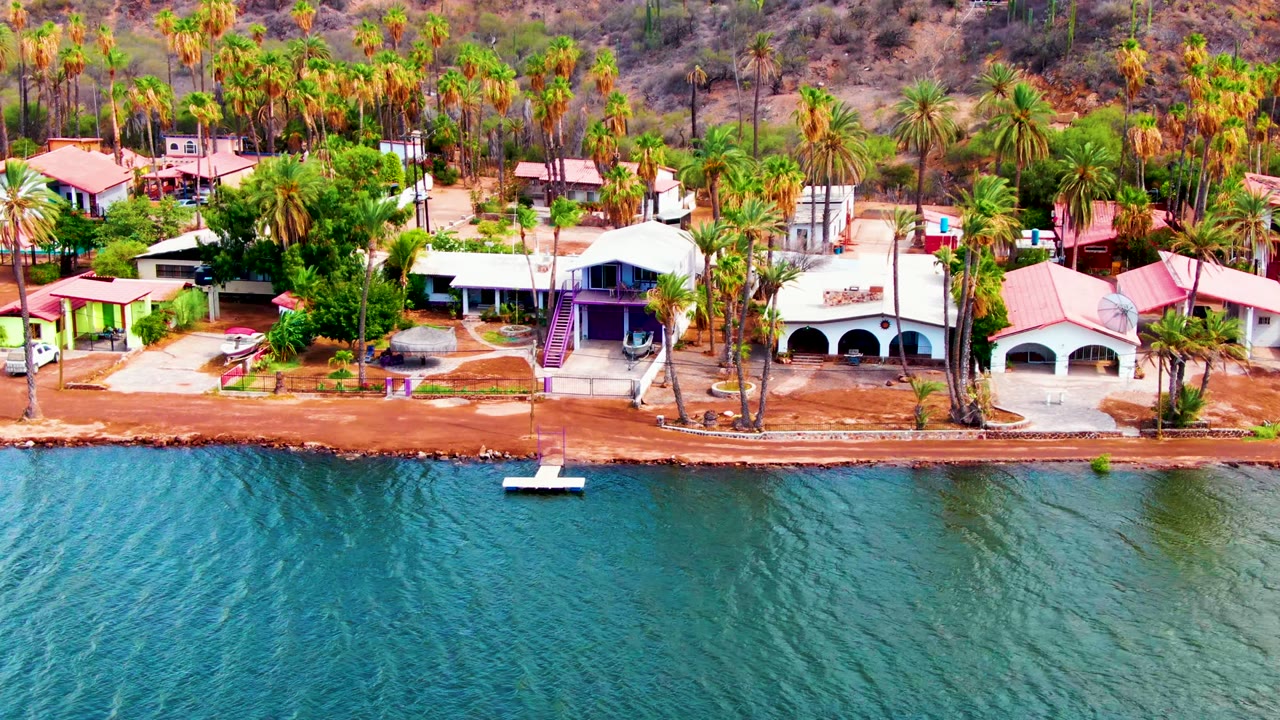 Drone view of palm-lined shore with houses and calm water.